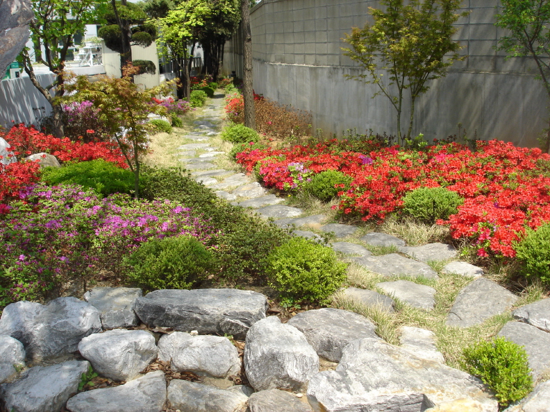 2008년 봄