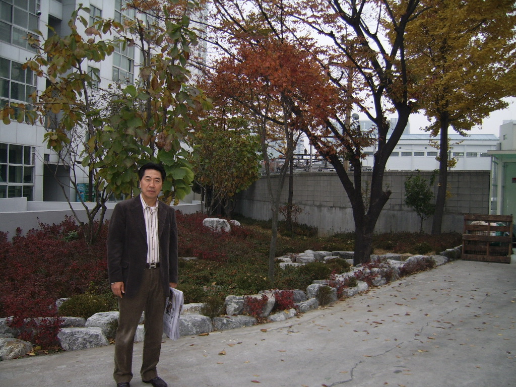 회사에 단풍이 들었습니다.