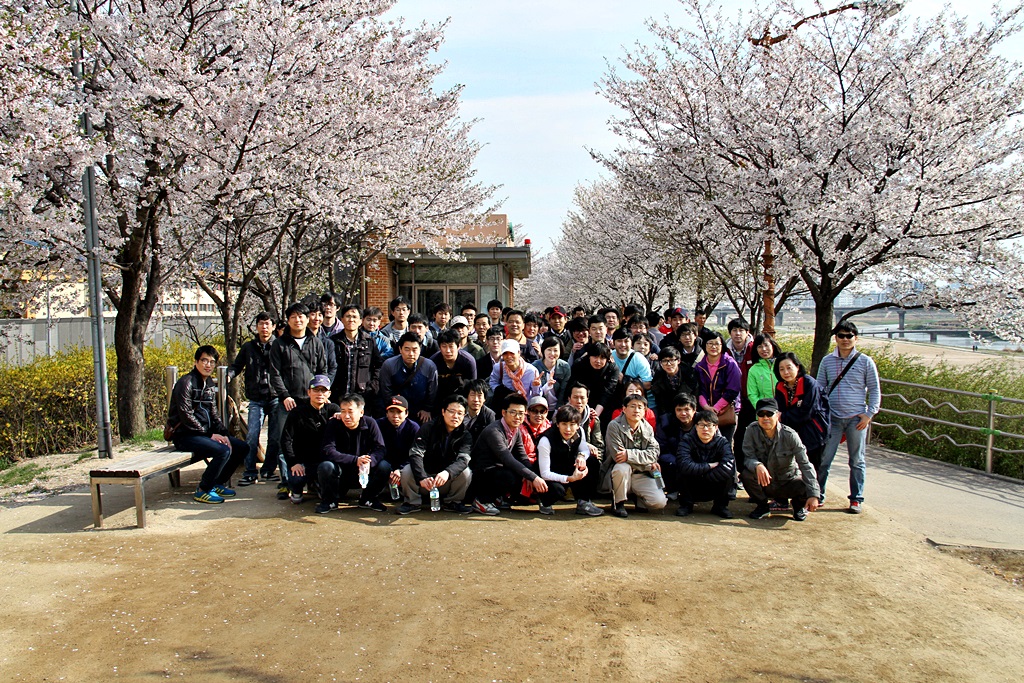 Go Flower-Viewing (20130419 꽃놀이)