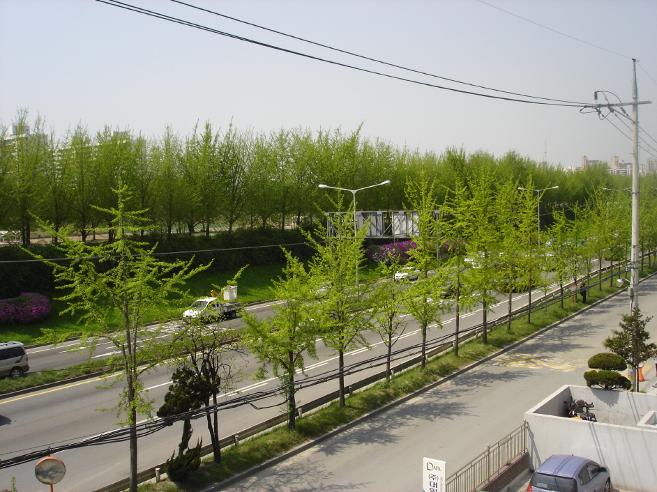 전망