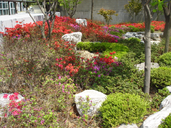 2008봄